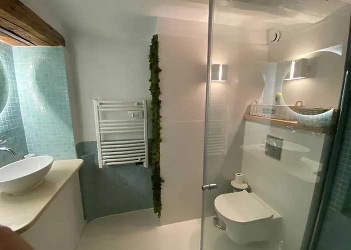 Villa Cote Sud Cannes